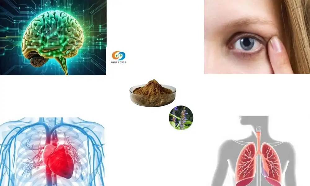 What does Coleus extract do?